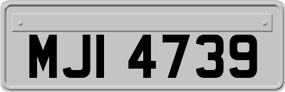 MJI4739
