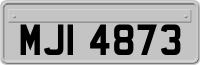 MJI4873