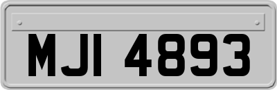 MJI4893
