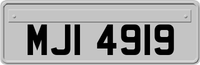 MJI4919