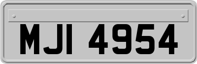 MJI4954
