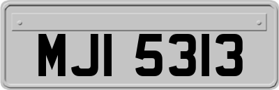 MJI5313