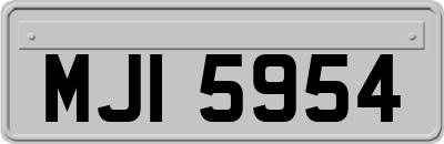 MJI5954