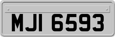MJI6593