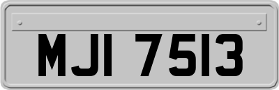 MJI7513