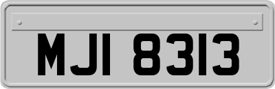 MJI8313