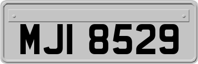 MJI8529