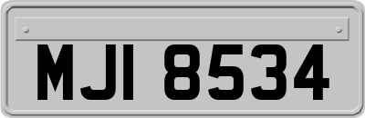 MJI8534