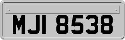 MJI8538