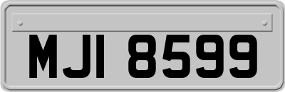 MJI8599