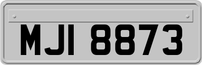 MJI8873
