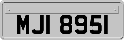 MJI8951