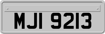 MJI9213