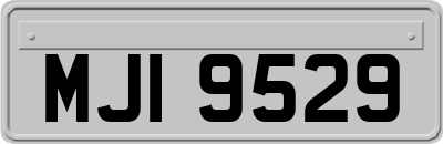 MJI9529