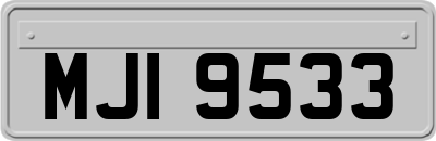 MJI9533