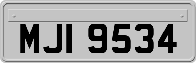MJI9534