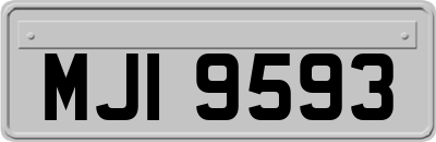 MJI9593
