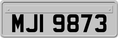 MJI9873
