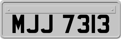 MJJ7313