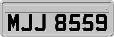 MJJ8559