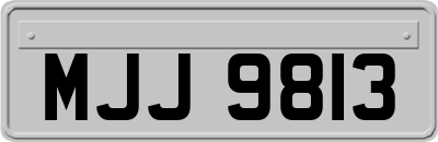 MJJ9813