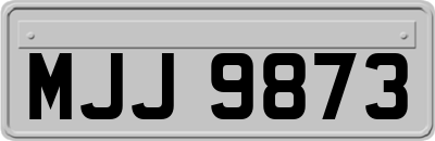 MJJ9873