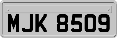 MJK8509