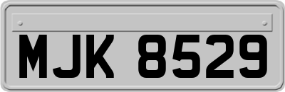 MJK8529