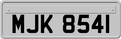 MJK8541