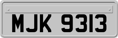 MJK9313