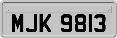 MJK9813