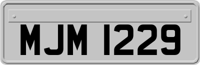 MJM1229