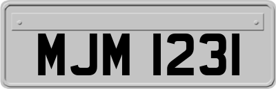 MJM1231