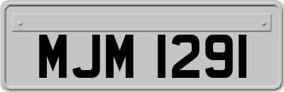 MJM1291