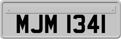 MJM1341