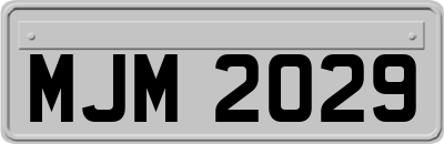 MJM2029