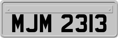 MJM2313
