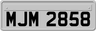 MJM2858