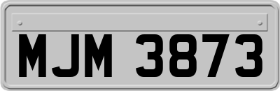 MJM3873
