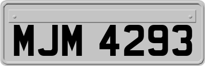 MJM4293