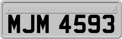 MJM4593