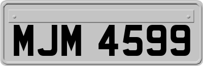 MJM4599