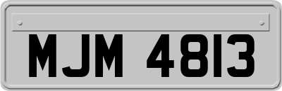 MJM4813