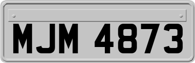 MJM4873
