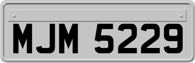 MJM5229