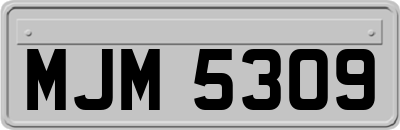 MJM5309