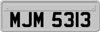 MJM5313