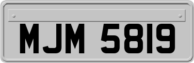 MJM5819
