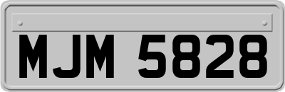 MJM5828