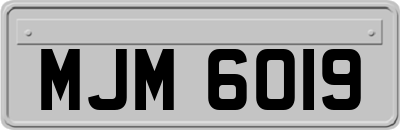 MJM6019